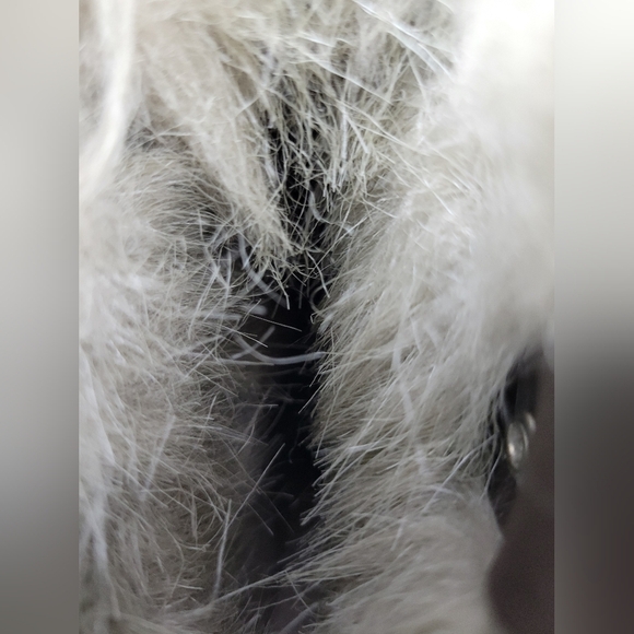 Sorel Women's Tofino Winter Snow Boot Tweed Size 8 - Picture 10 of 11